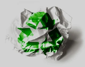 How to Recycle Paper and Cardboard: Step-by-Step Guide + Environmental Impact