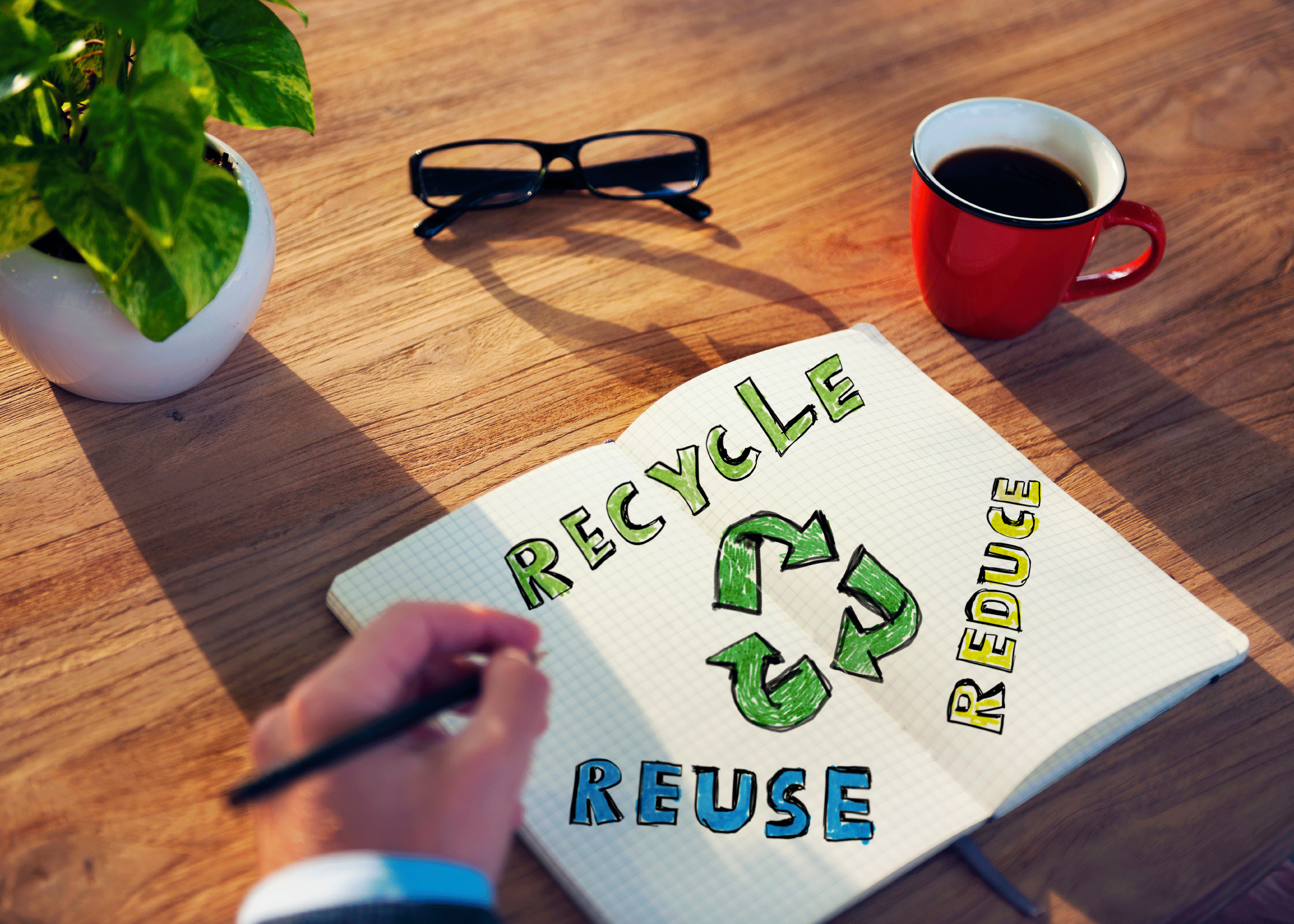 Sustainable procurement tips for the workplace - Waste Removal