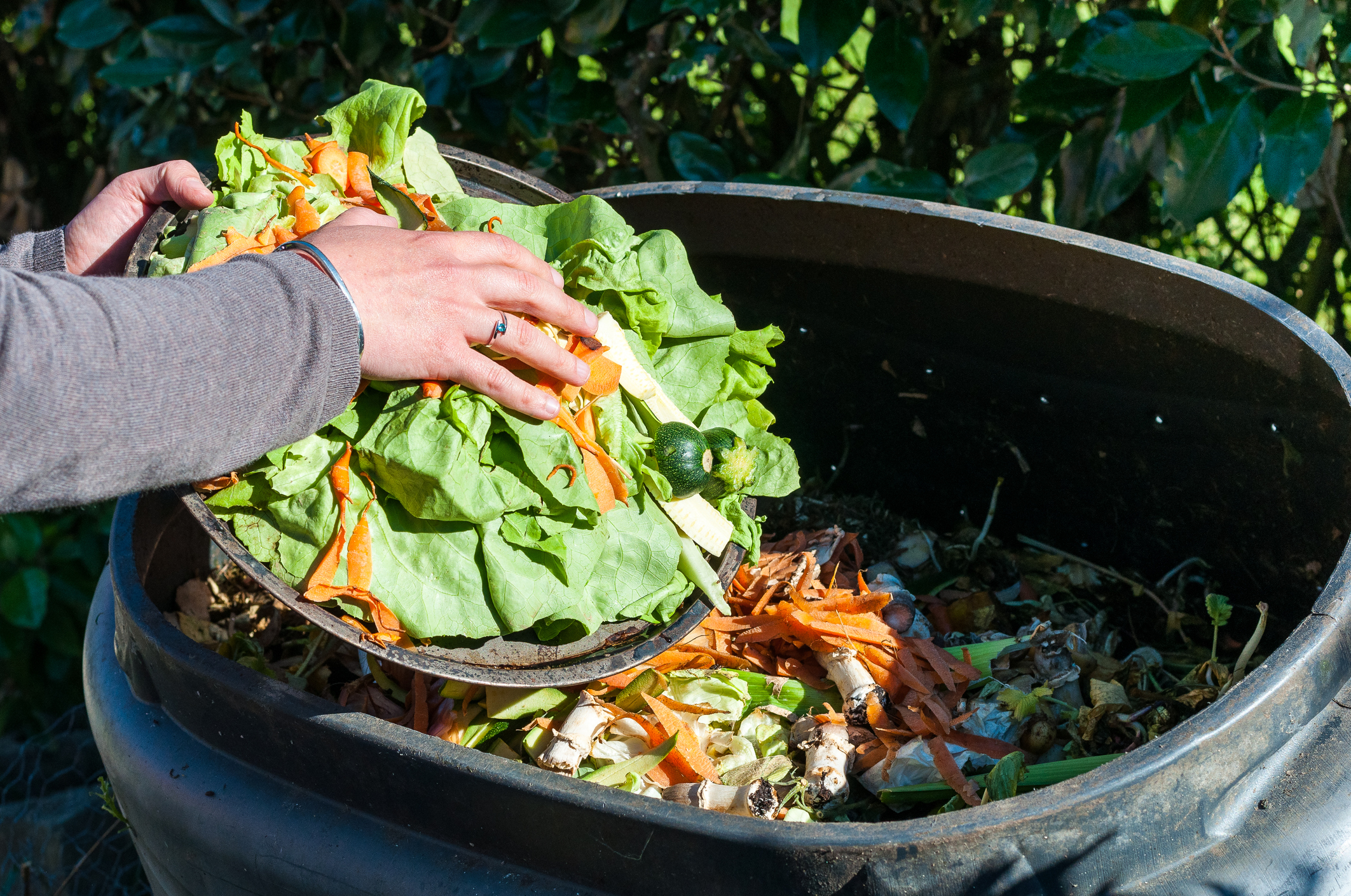 Where Can I Get A Food Waste Bin