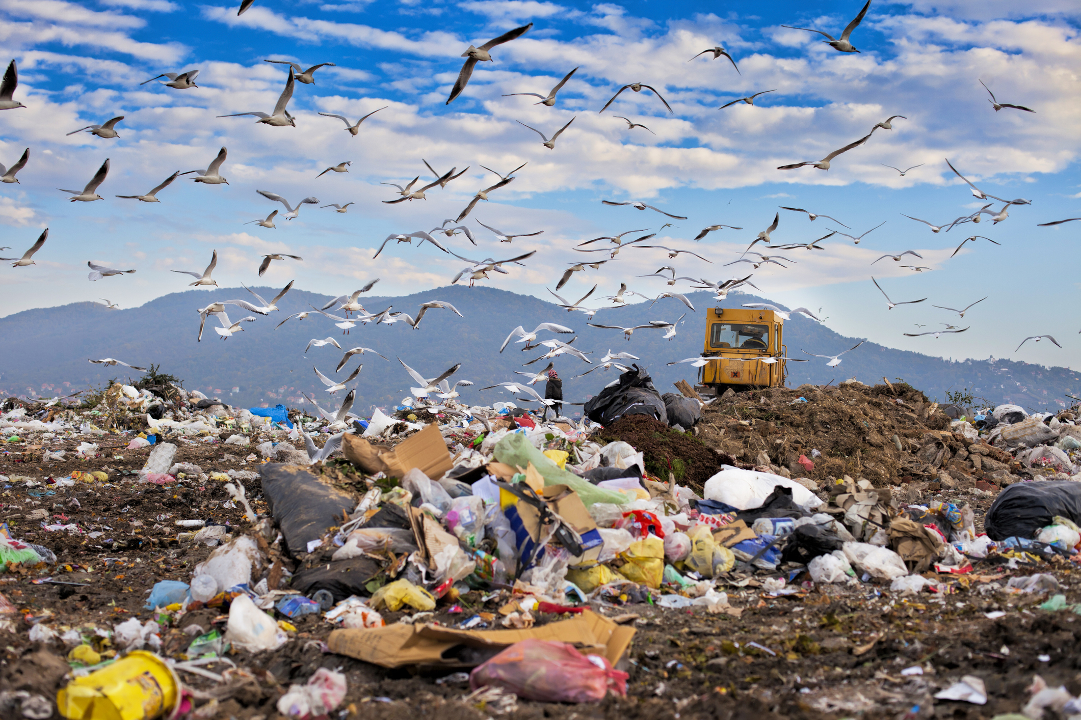 10 Items To Keep Out Of Landfill KS Environmental