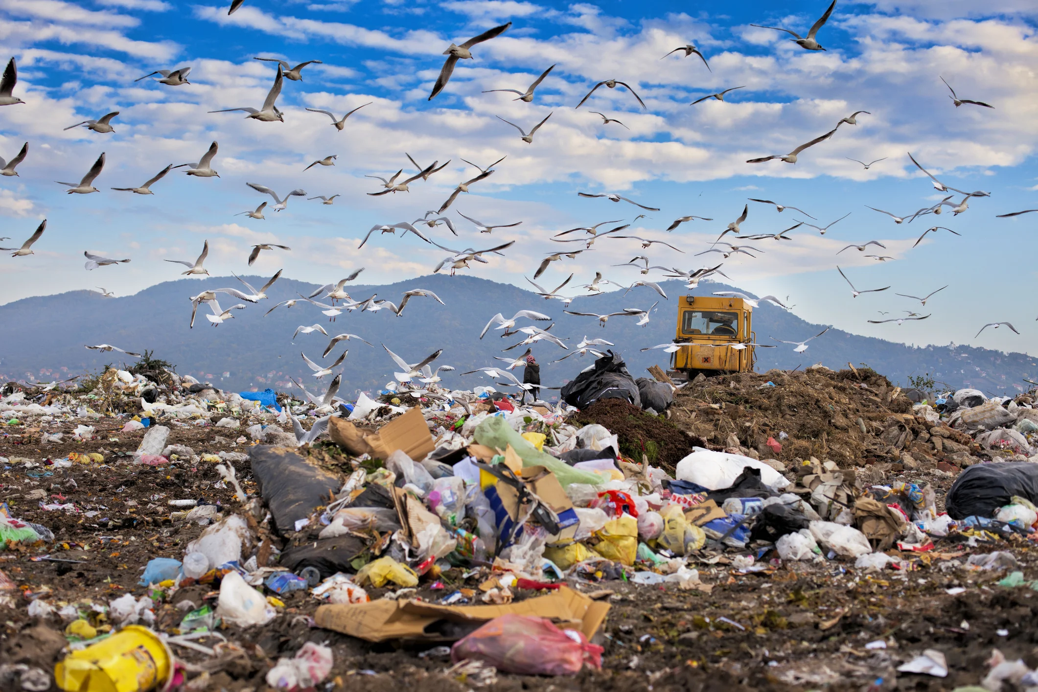10 items to keep out of landfill