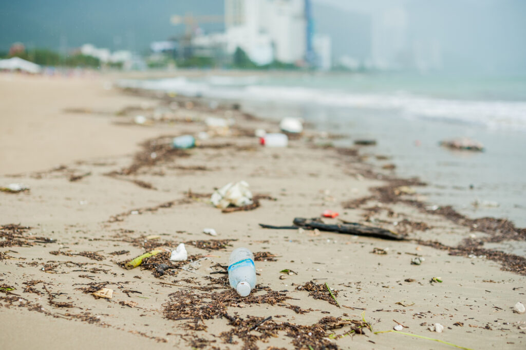 Beach Litter your quick guide to responsible disposal Waste Removal