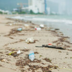 beach litter - disposal guide