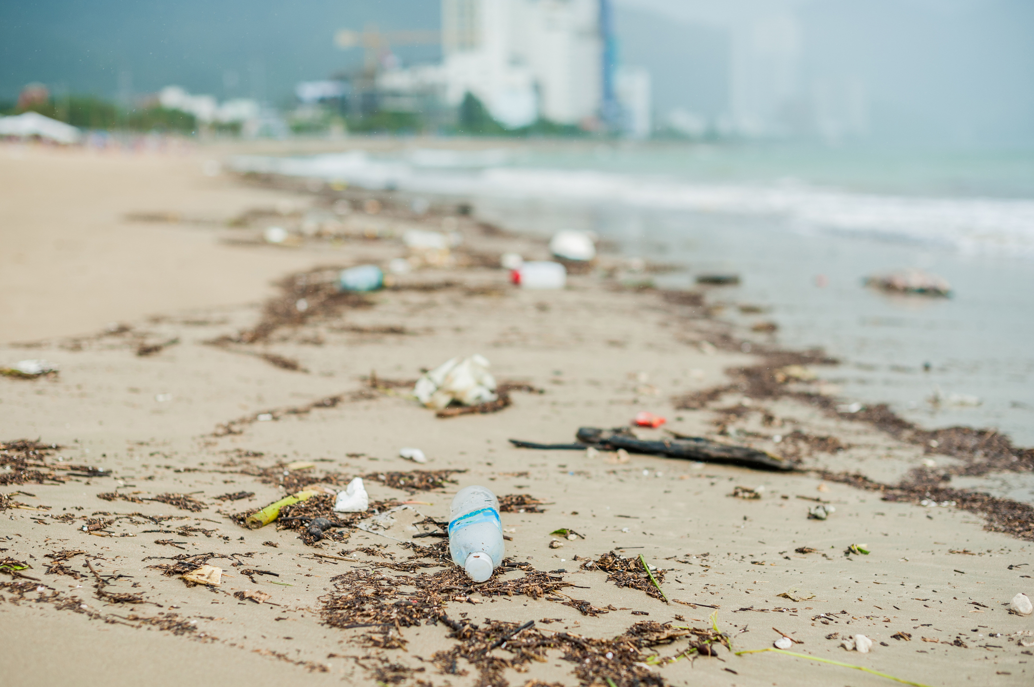 Beach Litter - Disposal Guide