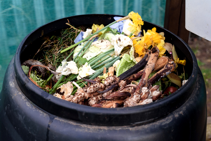 waste reduction tips - compost