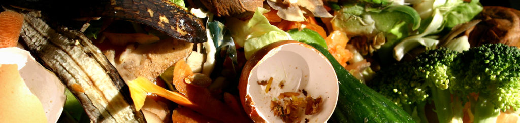 Food waste recycling image banner